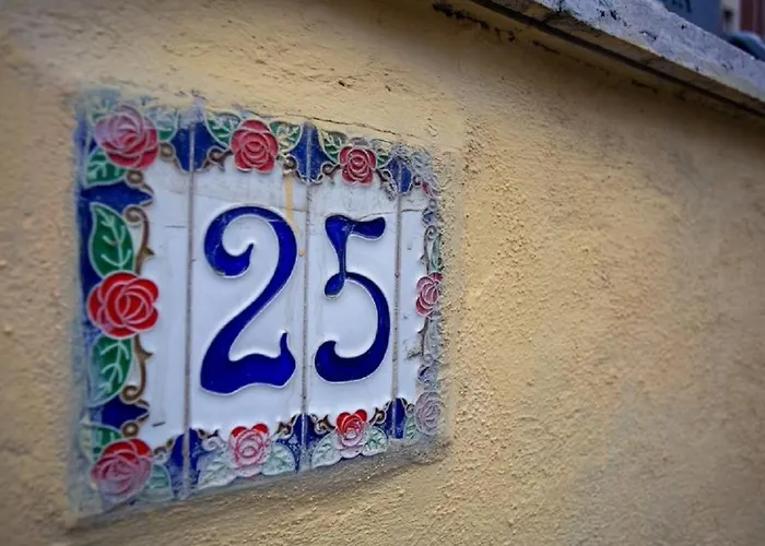 Daire 25